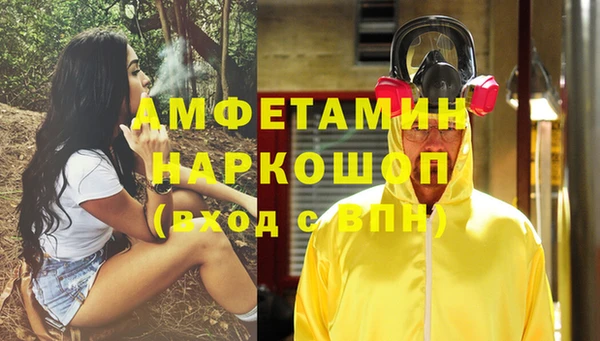 стаф Алзамай