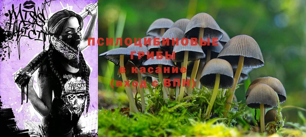 метадон Абинск